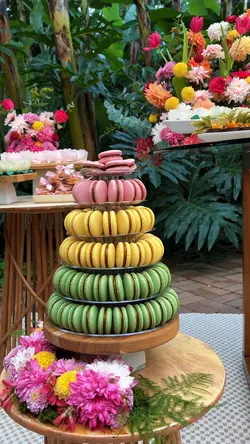 Birthday Aniversário