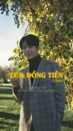 LÚM ĐỒNG TIỀN