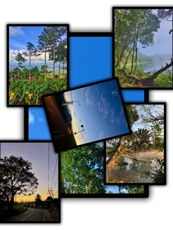 6Pic Slide Aesthetic