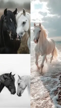 Sevgi Şablonu ♥️