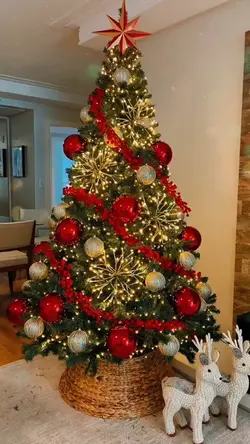 Natal 2025