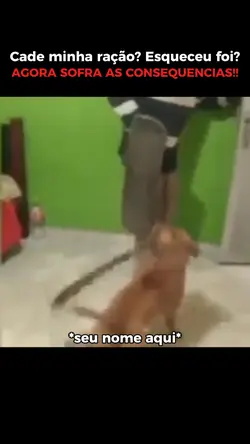 Meme cachorro louco