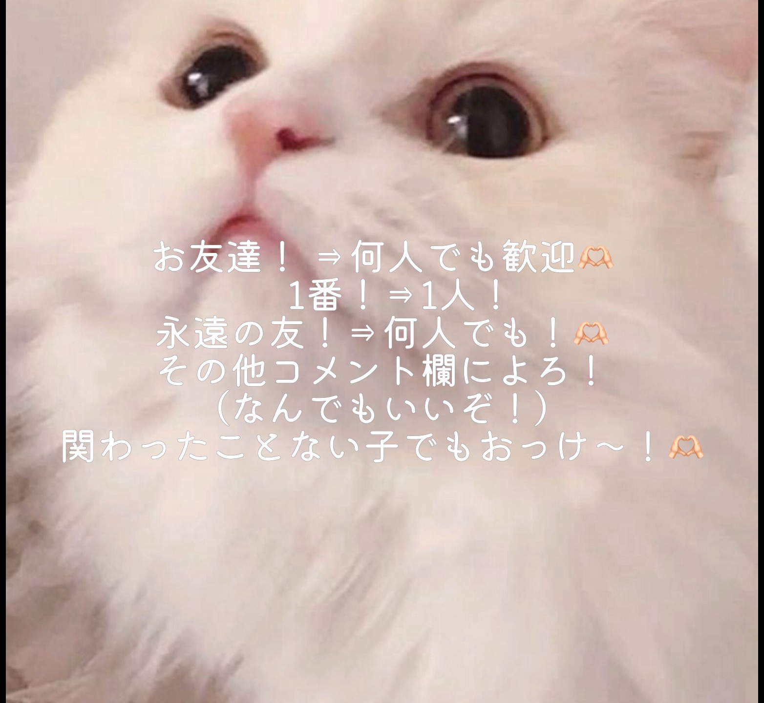 コメントまってる！🫶🏻❤️‍🔥