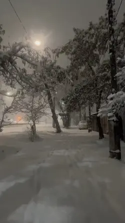 SnowMan Sia 