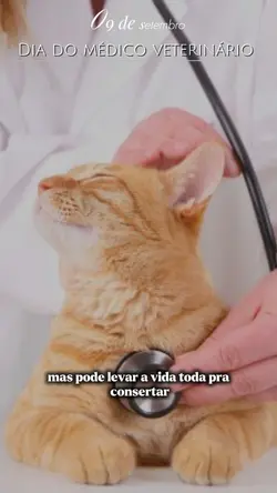 Dia do veterinário 