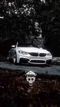 Manda Lina•Car Edit