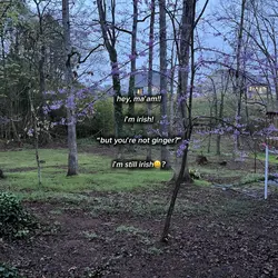 i’m still irish😀?