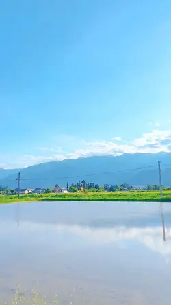 のんびり