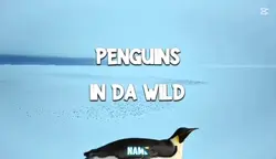 penguins in da wild