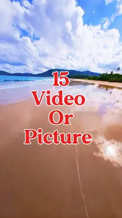 15 video or picture 