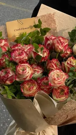 bạn có đủ ảnh ko