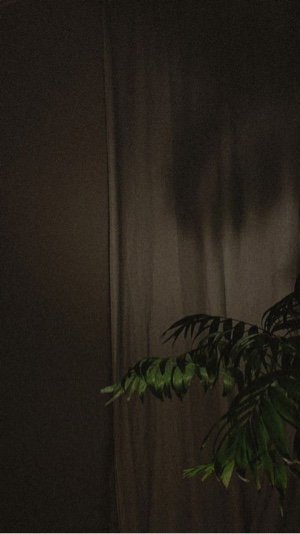 Bisa jadi ..