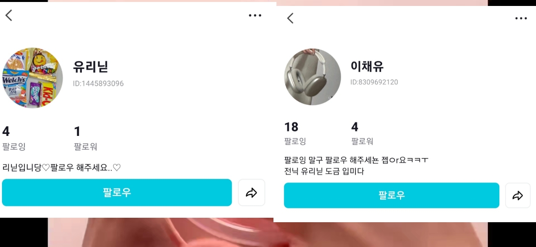 이채유님,유리닏님 박제