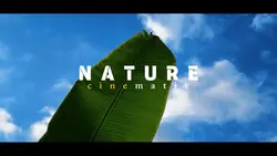Cinematic 6 Klip Nat