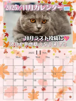 11月もよろしくお願いします①