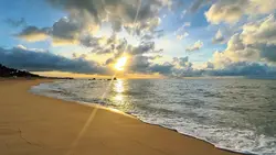 Cảnh chill Nhạc hay