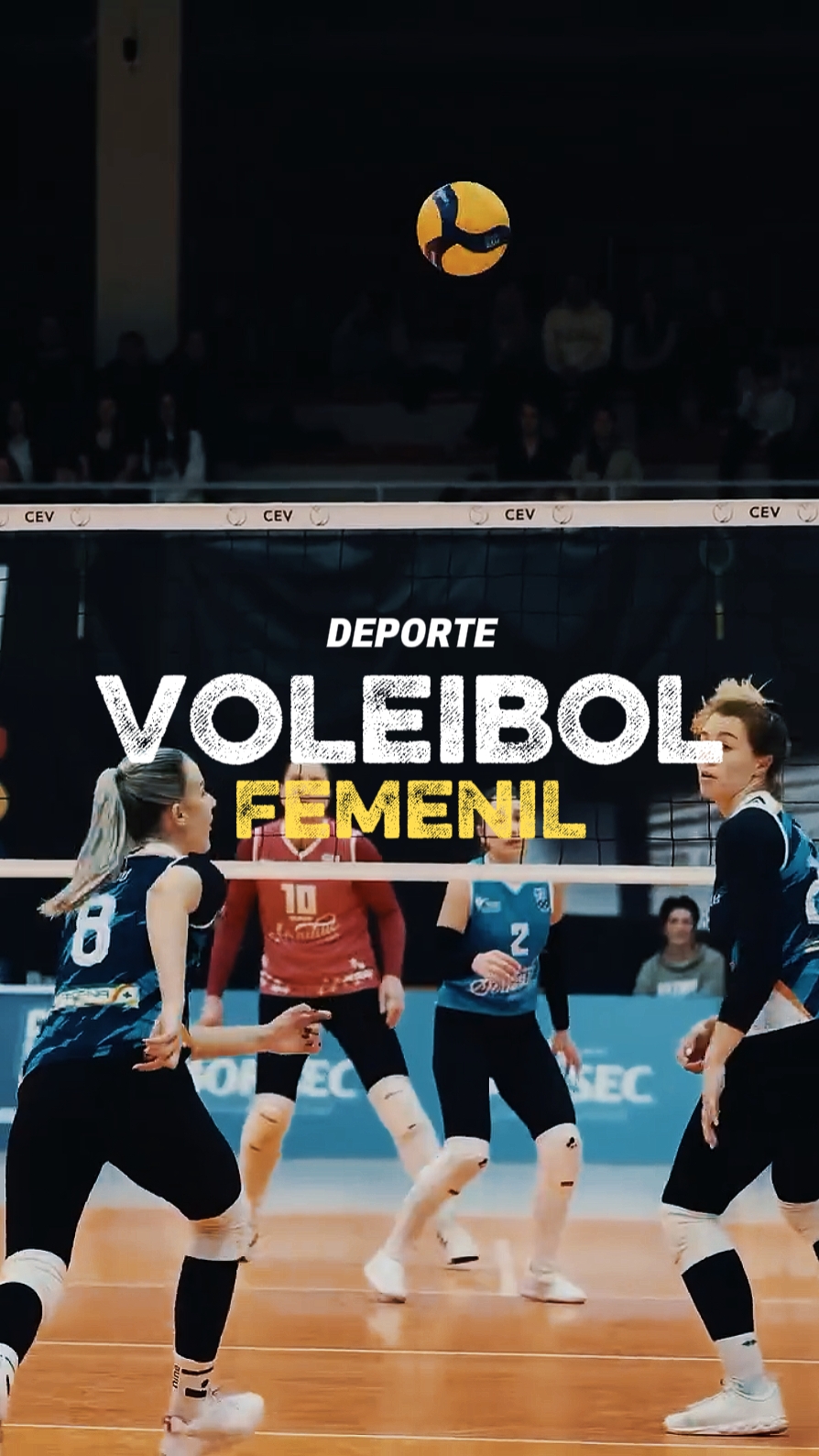 Voleibol • Femenil