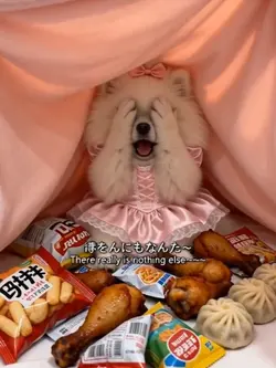 本当にもうないよ