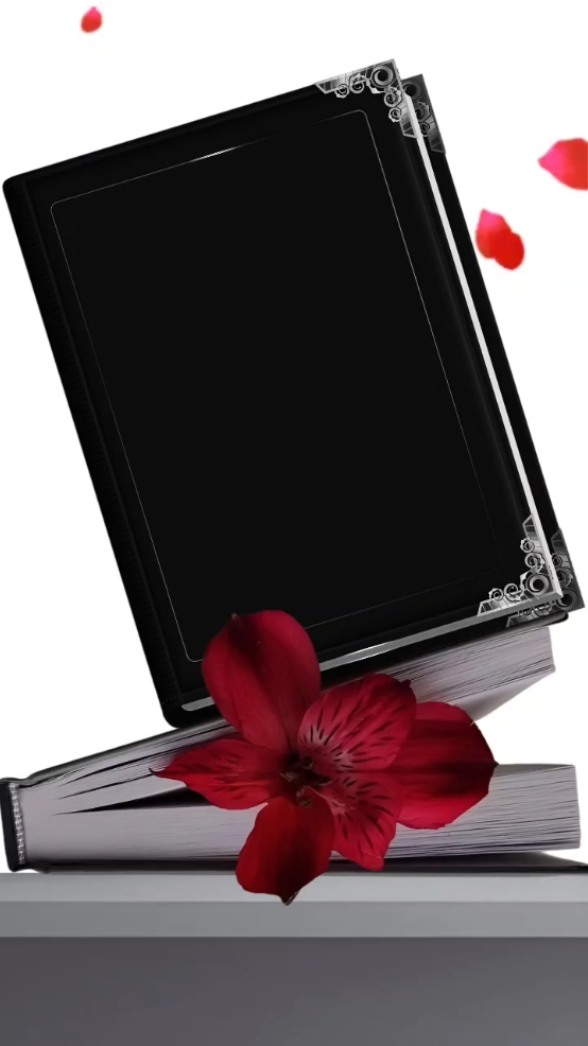 Livro
