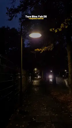 Tere bina ye dil