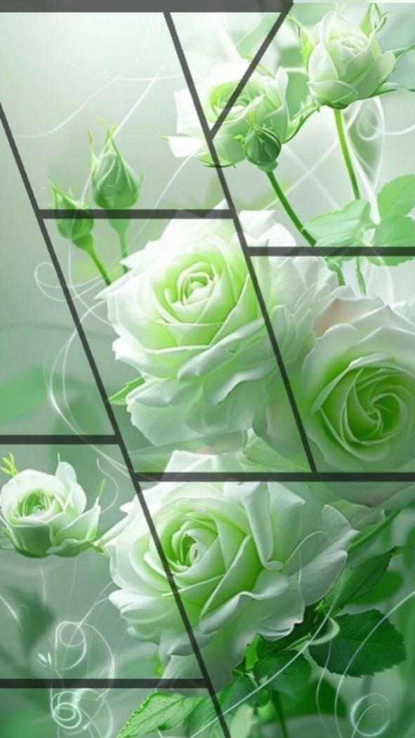 Lovely Flower 