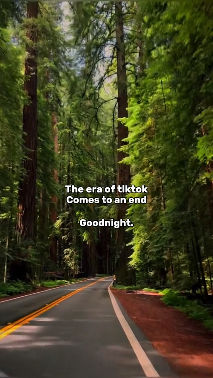再见TikTok