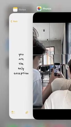 the only exception 