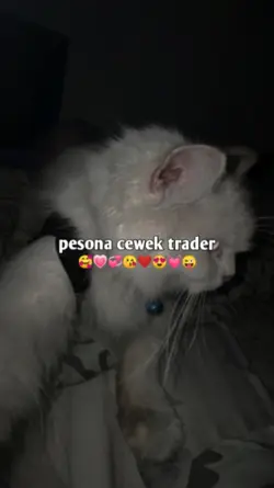pesona cewek trader 