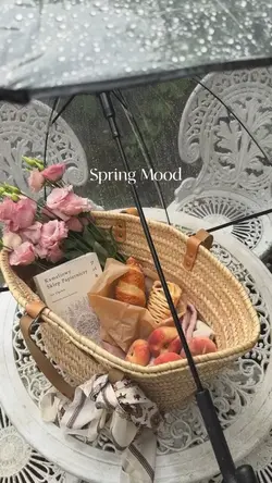 Spring Mood 🌸