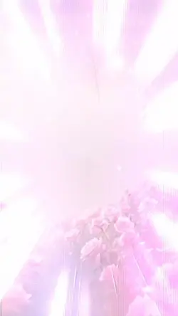 かもめが翔んだ日