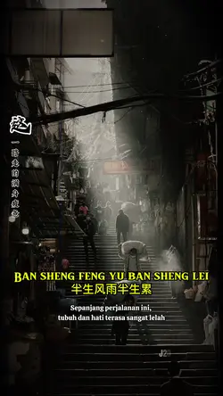 半生风雨半生累