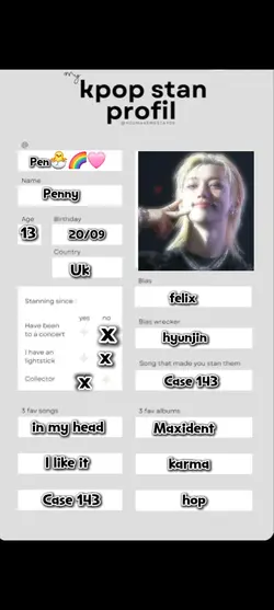 My skz stan profile
