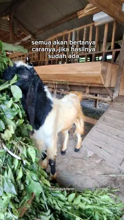 jika berhasil