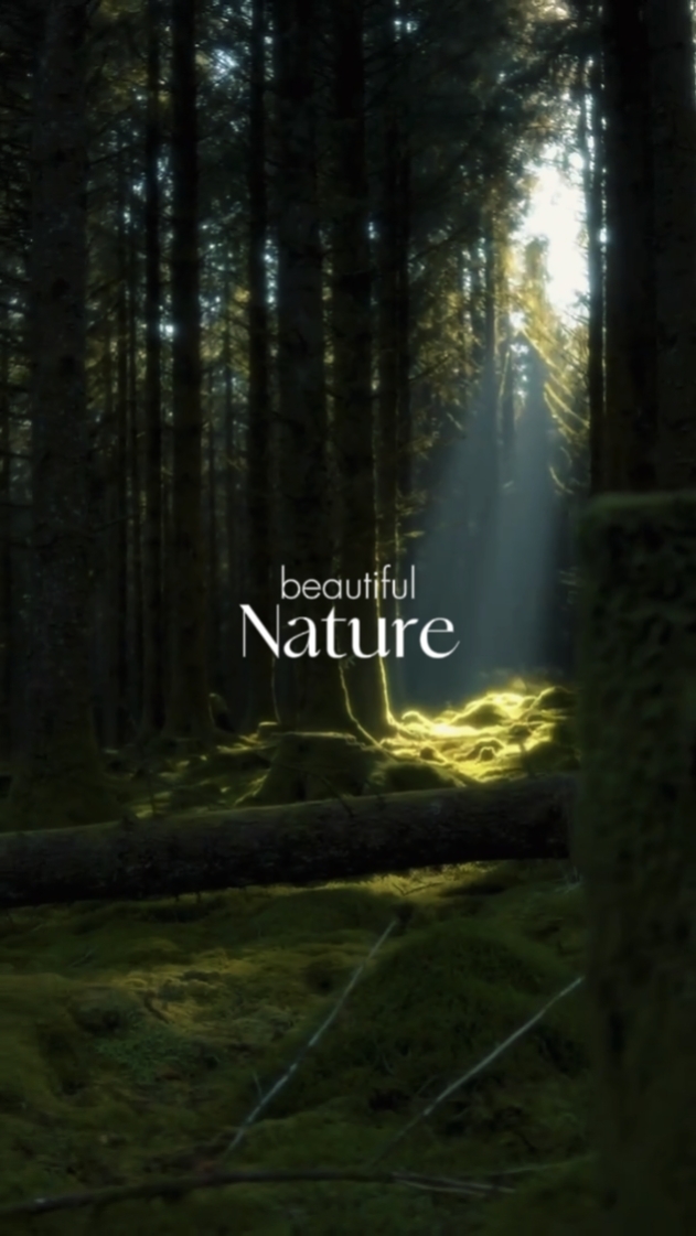 Beautiful nature 