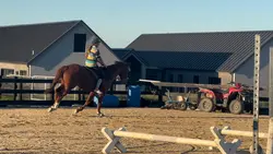 jumping Zoomie