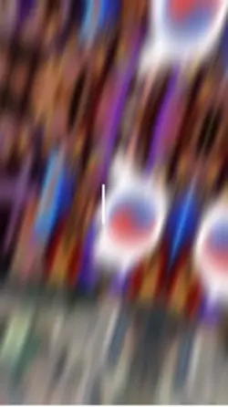 North vs South Korea