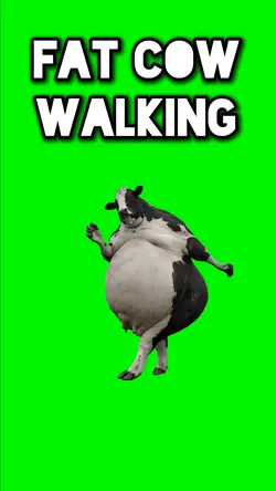 FAT COW WALKING