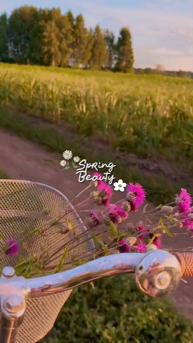 Belleza de primavera