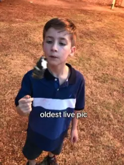 TikTok song