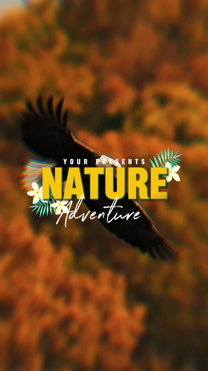 Aventura en la naturaleza 