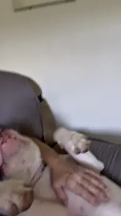I’mma Puppy