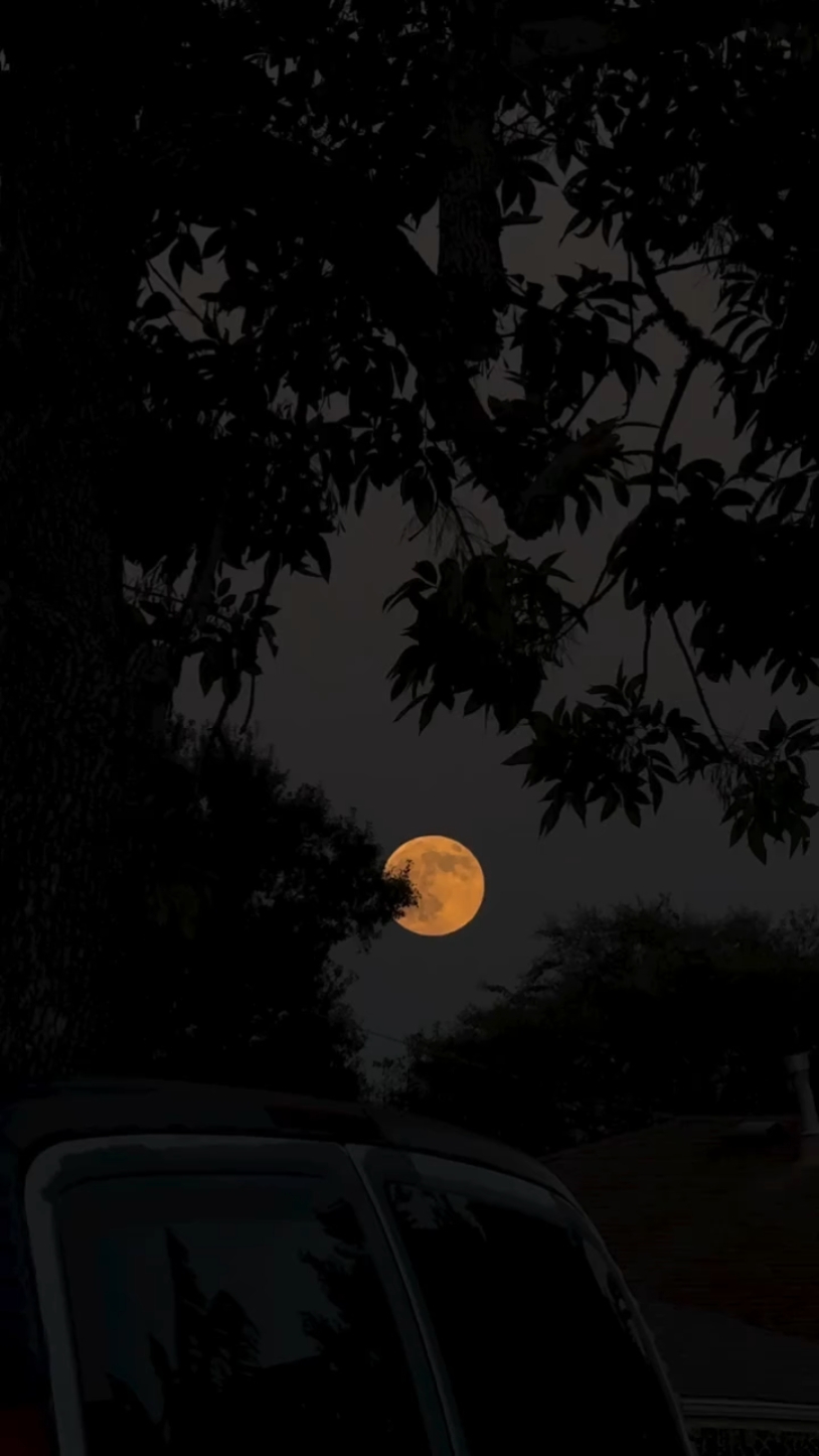 وات

# capcut # viral # luna # noche