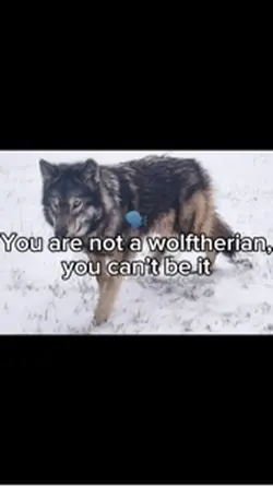wolf Therian