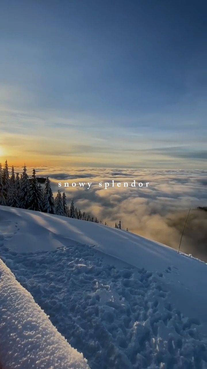 Snowy splendor