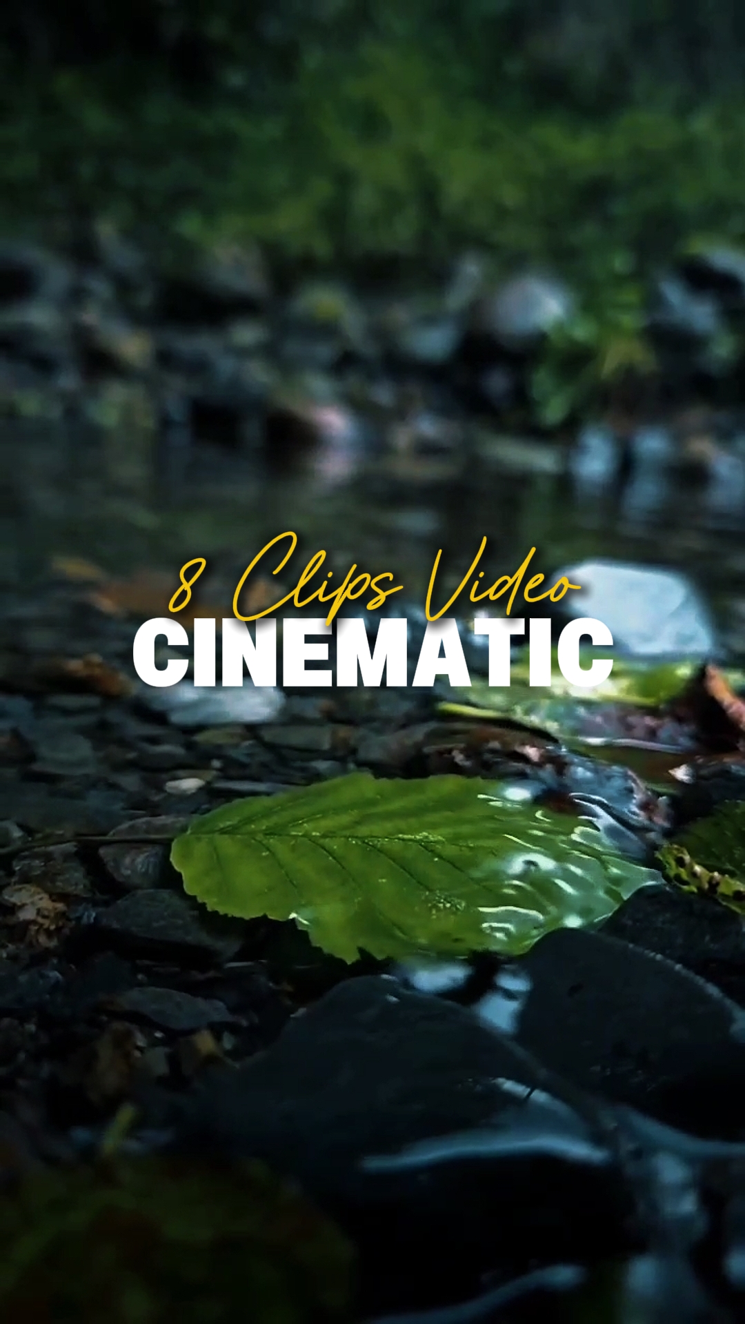 8 Clips Video