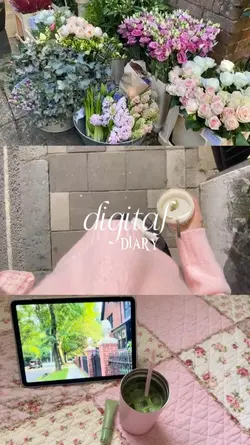 digital diary aesthe