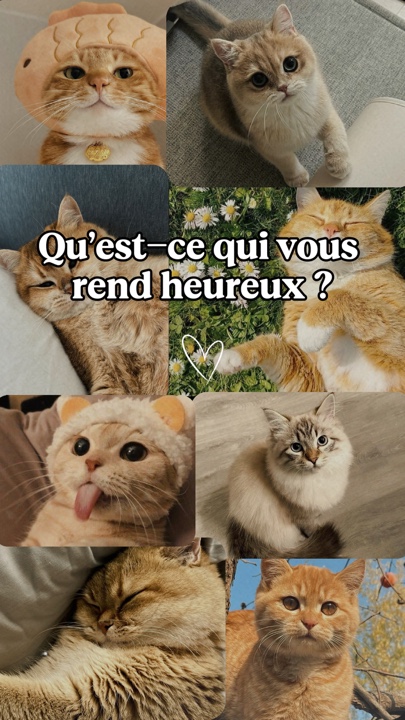 Mon animal
