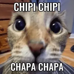 chipichipichapachapa