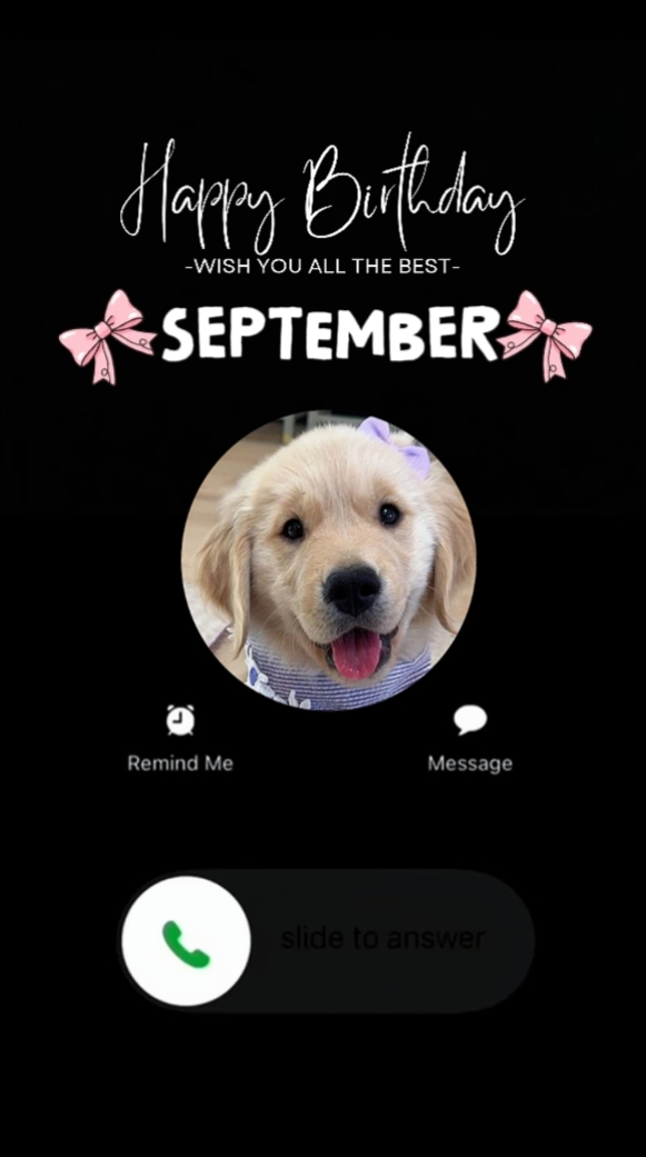 september bday dog