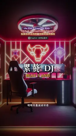 累赘 DJ